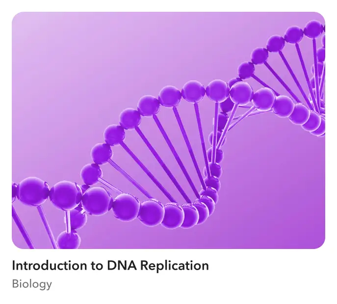 Introduction to DNA Replication