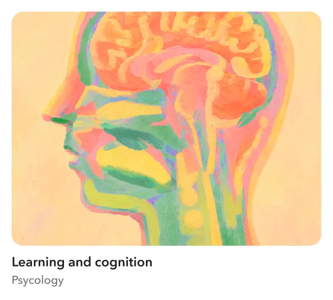 Learning and cognition